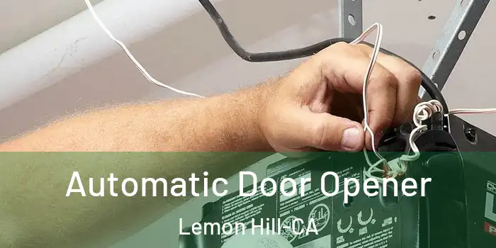  Automatic Door Opener Lemon Hill-CA