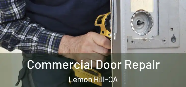  Commercial Door Repair Lemon Hill-CA