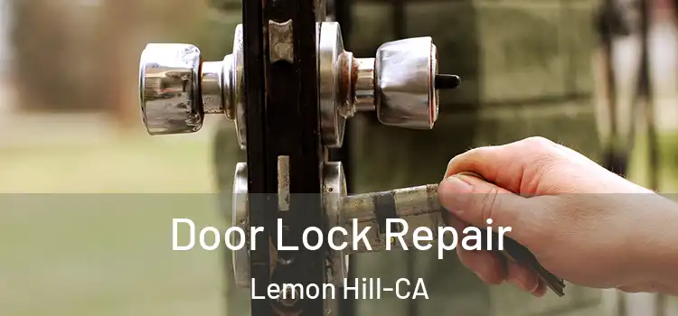  Door Lock Repair Lemon Hill-CA