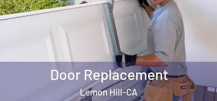 Door Replacement Lemon Hill-CA