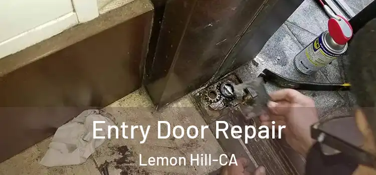  Entry Door Repair Lemon Hill-CA