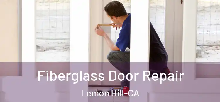  Fiberglass Door Repair Lemon Hill-CA