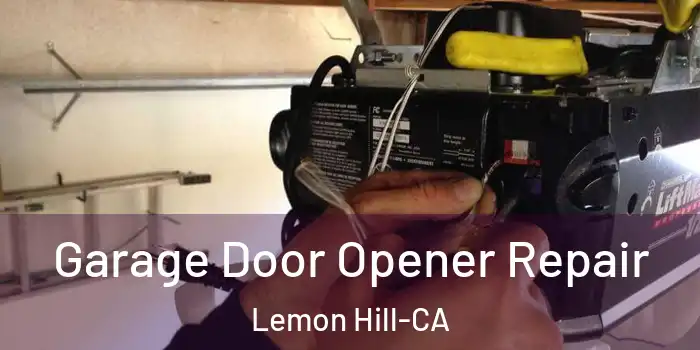  Garage Door Opener Repair Lemon Hill-CA