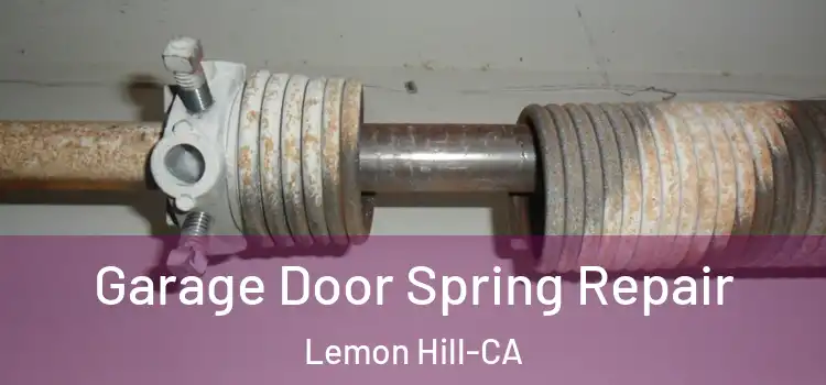  Garage Door Spring Repair Lemon Hill-CA