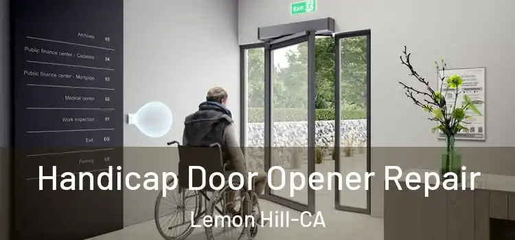  Handicap Door Opener Repair Lemon Hill-CA
