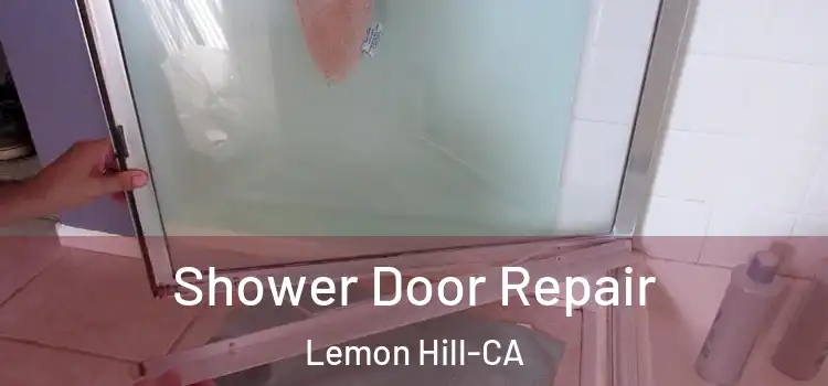 Shower Door Repair Lemon Hill-CA