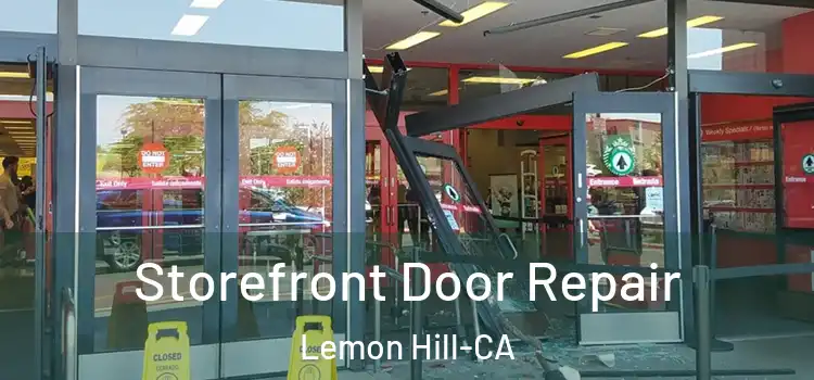  Storefront Door Repair Lemon Hill-CA